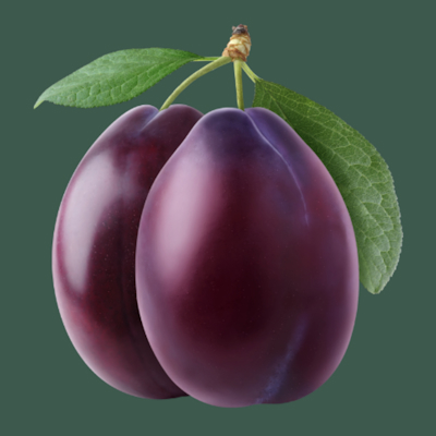 Professor Plums Plums 
